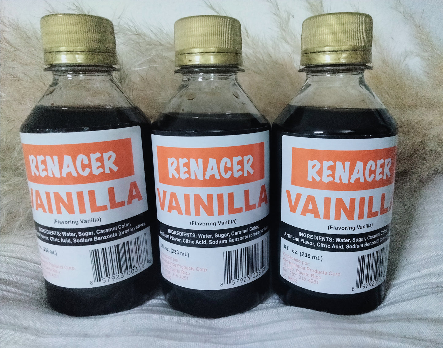 Vainilla Renacer de Puerto Rico